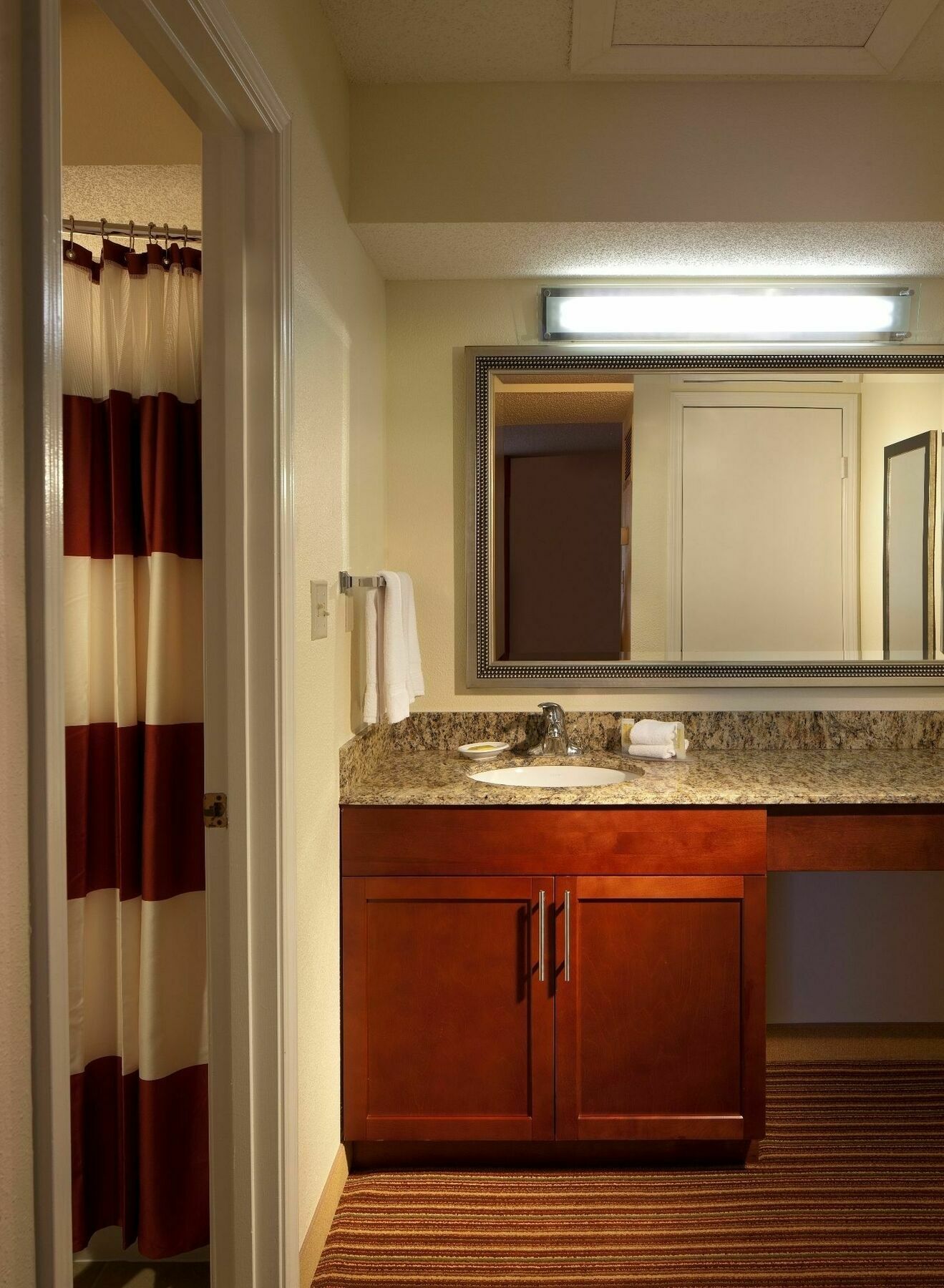 Sonesta Es Suites Jacksonville Room photo